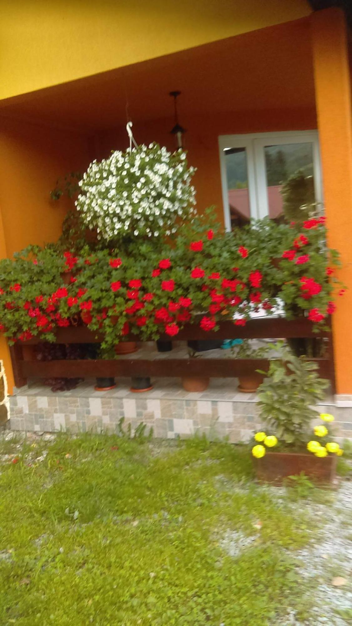 Ge-Lux Villa Incesti Dış mekan fotoğraf